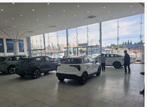 Full Geely lineup on display